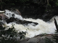 Auger Falls