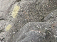 Bellows Falls Petroglyphs