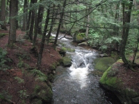 On the trail at Moose Brook State Park