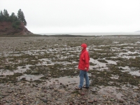 Low tide at Martins Cave