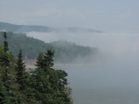 Fog along the coast