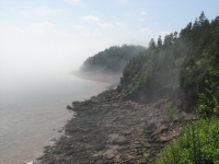 Along Matthews Head Trail