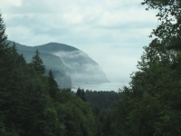 Fog along the shore