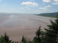 Mudflats at Hopewell Rocks