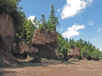 Hopewell Rocks