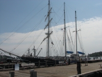 Concordia - a tall ship