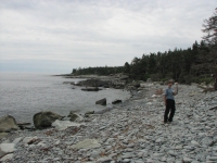 On the Taylor's Head Trail