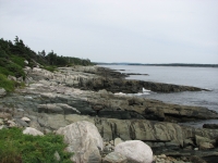 Rocky shoreline