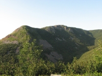 Skyline Trail runs along that ridge