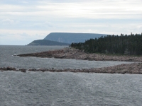 Along the shore