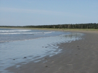 Pt. Michaud Beach