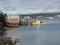 Fishing boats