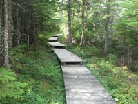 Trail up Erin Mountain 