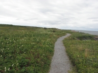 Trail at Port aux Choix