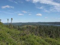 Beautiful views on the Alexander Murray Trail