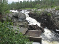 Salmon Jump at David Smallwood Park