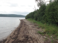 Trail along the shore at Terra Nova 