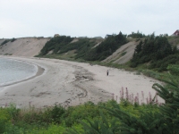 Beautiful Beach at Sandy Cove