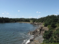 Trail near Arnold's Cove