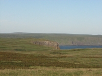 Barrens at Cape St. Marys