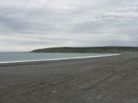 Whale watching beach at St. Vincents