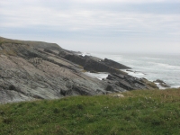 Shore near Cape Race