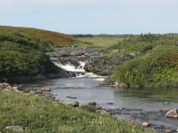 Near Cape Race 