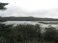 Marsh at La Manche 