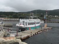 Boat to Witless Bay