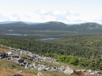 Climbing up Mont Jacques Cartier 