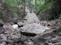 Rough Trail in Acadia 