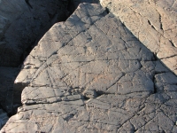 More rock carvings