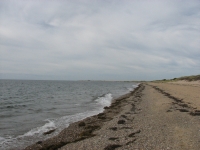 Cape Cod Seashore 