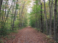 Walking on a ski trail 