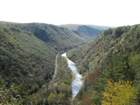 The Grand Canyon of Pennsylvania