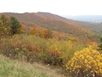 Autumn in the mountains