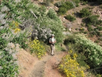 Jim amidst the flowers