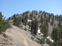 Near Mt. Baden Powell