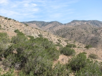 Near Tehachapi Pass