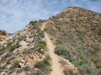 On the crest