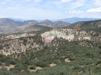 Near Tehachapi Pass