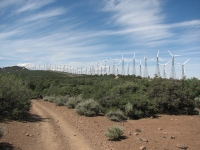The windmills are ubiquitous