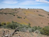 Spring in the desert