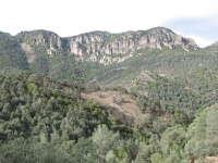 Big gray cliff