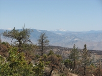 Snow in the Sierras