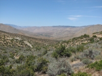 Kelso Valley