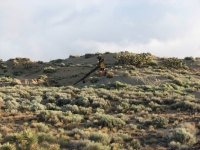 Old mine