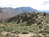 Big boulders near Bird Spring Pass