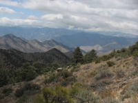 North of Walker Pass