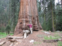 They really are big